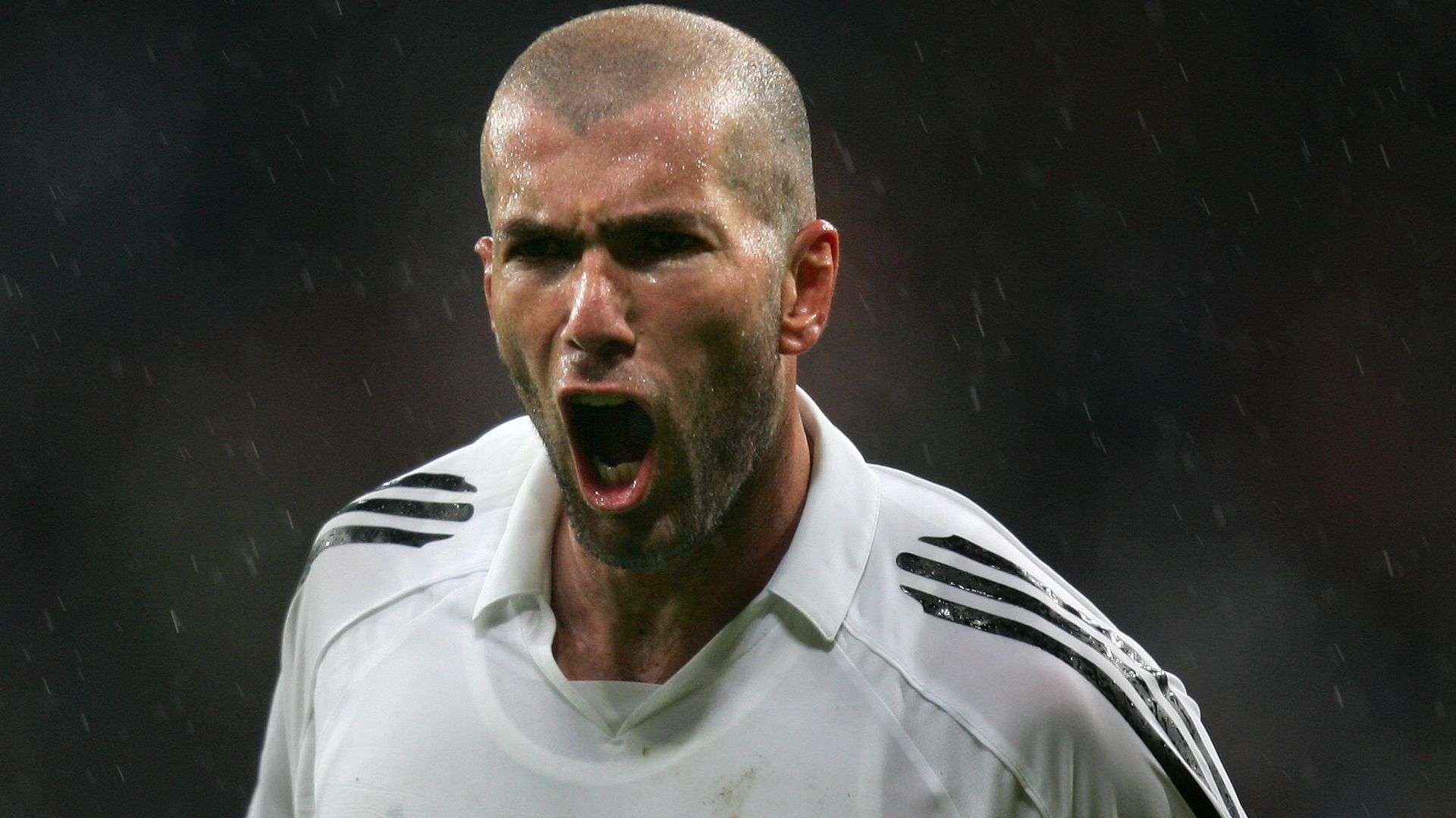 顶级的俱乐 顶级的俱乐